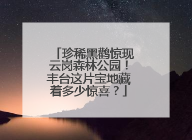 珍稀黑鹳惊现云岗森林公园！丰台这片宝地藏着多少惊喜？