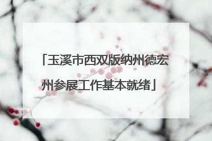 玉溪市西双版纳州德宏州参展工作基本就绪