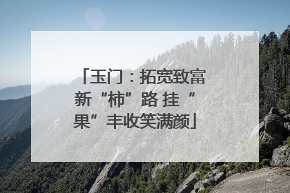 玉门：拓宽致富新“柿”路 挂“果”丰收笑满颜