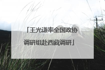 王光谦率全国政协调研组赴西藏调研
