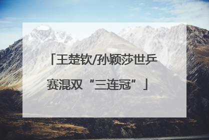 王楚钦/孙颖莎世乒赛混双“三连冠”