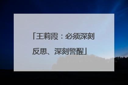 王莉霞：必须深刻反思、深刻警醒