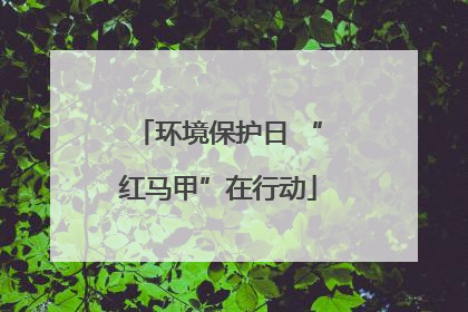 环境保护日 “红马甲”在行动