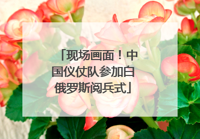 现场画面！中国仪仗队参加白俄罗斯阅兵式