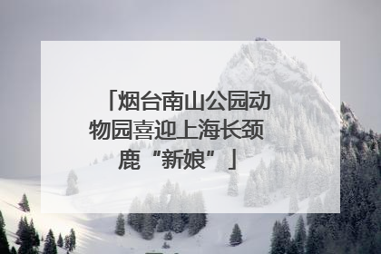 烟台南山公园动物园喜迎上海长颈鹿“新娘”
