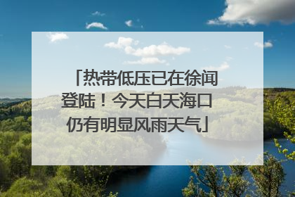 热带低压已在徐闻登陆！今天白天海口仍有明显风雨天气