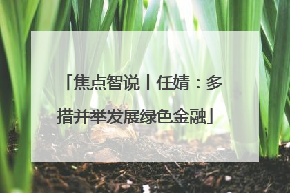 焦点智说丨任婧：多措并举发展绿色金融