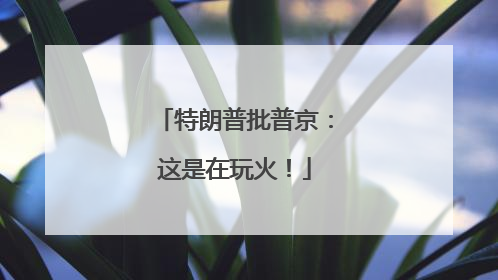 特朗普批普京：这是在玩火！