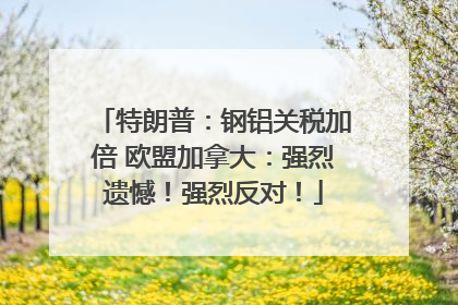 特朗普：钢铝关税加倍 欧盟加拿大：强烈遗憾！强烈反对！