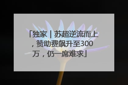 独家｜苏超逆流而上，赞助费飙升至300万，仍一席难求