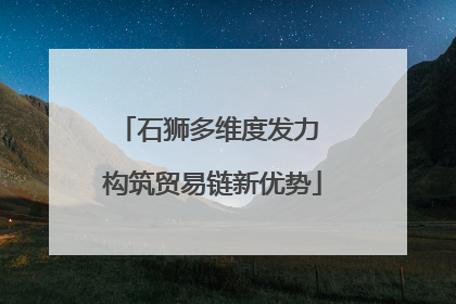 石狮多维度发力 构筑贸易链新优势