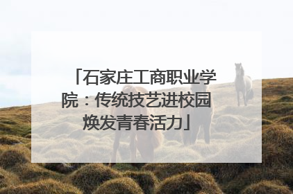 石家庄工商职业学院：传统技艺进校园焕发青春活力