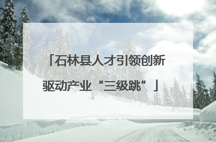 石林县人才引领创新驱动产业“三级跳”