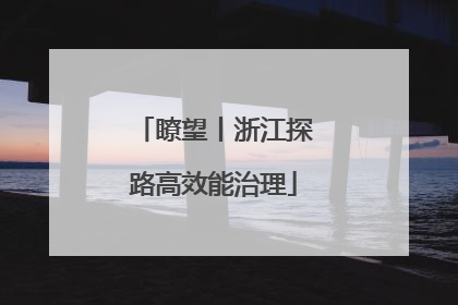 瞭望丨浙江探路高效能治理