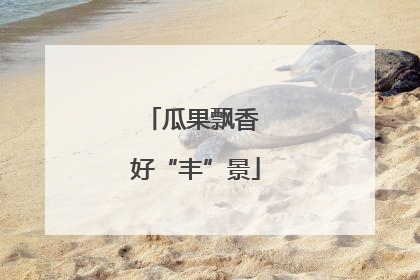 瓜果飘香 好“丰”景