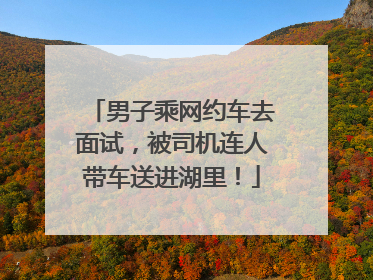 男子乘网约车去面试，被司机连人带车送进湖里！