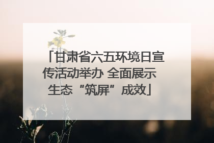 甘肃省六五环境日宣传活动举办 全面展示生态“筑屏”成效