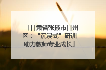 甘肃省张掖市甘州区：“沉浸式”研训助力教师专业成长