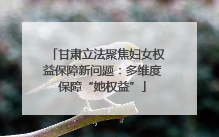 甘肃立法聚焦妇女权益保障新问题：多维度保障“她权益”