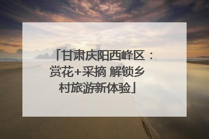 甘肃庆阳西峰区：赏花+采摘 解锁乡村旅游新体验