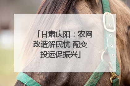 甘肃庆阳：农网改造解民忧 配变投运促振兴