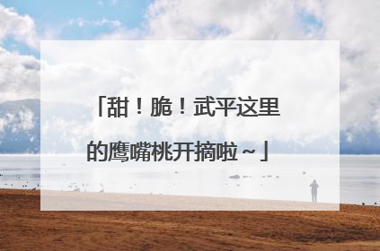 甜！脆！武平这里的鹰嘴桃开摘啦～
