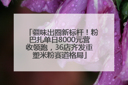 疆味出圈新标杆！粉巴扎单日8000元营收领跑，36店齐发重塑米粉赛道格局