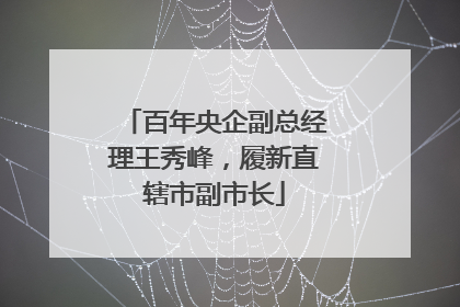 百年央企副总经理王秀峰，履新直辖市副市长