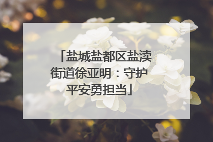 盐城盐都区盐渎街道徐亚明：守护平安勇担当