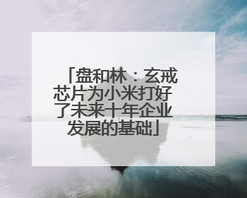 盘和林：玄戒芯片为小米打好了未来十年企业发展的基础