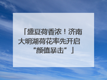 盛夏荷香浓！济南大明湖荷花率先开启“颜值暴击”