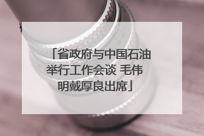 省政府与中国石油举行工作会谈 毛伟明戴厚良出席