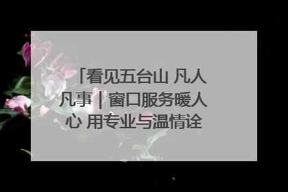 看见五台山 凡人凡事｜窗口服务暖人心 用专业与温情诠释责任担当