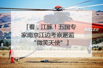 看，江豚！五国专家南京江边考察邂逅“微笑天使”