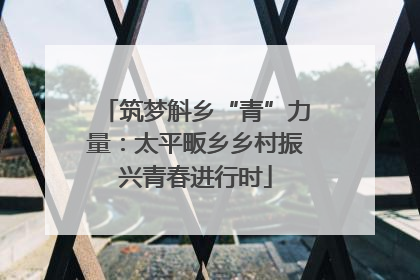 筑梦斛乡“青”力量：太平畈乡乡村振兴青春进行时