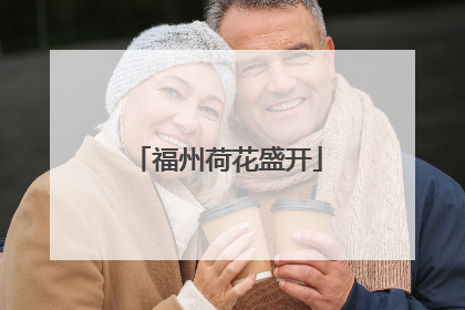 福州荷花盛开
