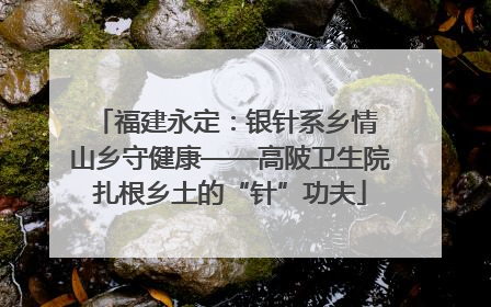 福建永定：银针系乡情 山乡守健康——高陂卫生院扎根乡土的“针”功夫