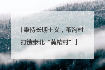 秉持长期主义，苇沟村打造泰北“黄精村”