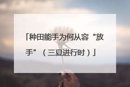 种田能手为何从容“放手”（三夏进行时）