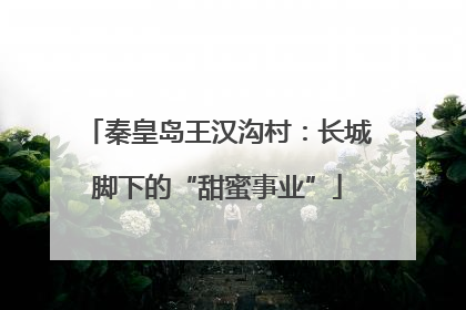 秦皇岛王汉沟村：长城脚下的“甜蜜事业”