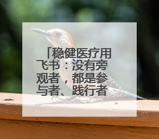 稳健医疗用飞书：没有旁观者，都是参与者、践行者、受益者