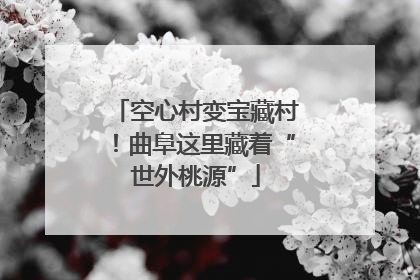 空心村变宝藏村！曲阜这里藏着“世外桃源”