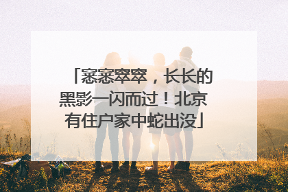 窸窸窣窣，长长的黑影一闪而过！北京有住户家中蛇出没