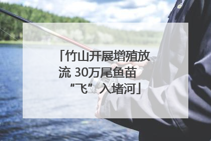 竹山开展增殖放流 30万尾鱼苗“飞”入堵河
