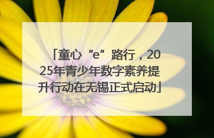 童心“e”路行，2025年青少年数字素养提升行动在无锡正式启动