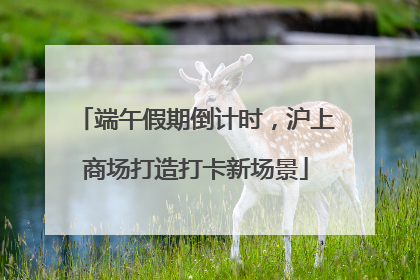 端午假期倒计时，沪上商场打造打卡新场景