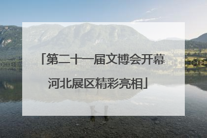 第二十一届文博会开幕 河北展区精彩亮相