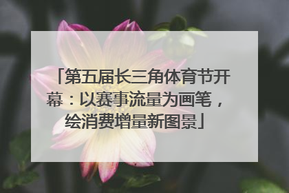第五届长三角体育节开幕：以赛事流量为画笔，绘消费增量新图景