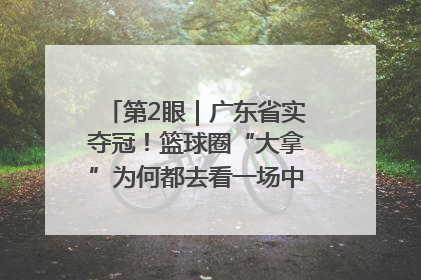 第2眼｜广东省实夺冠！篮球圈“大拿”为何都去看一场中学生比赛？