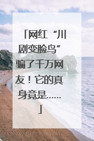 网红“川剧变脸鸟”骗了千万网友！它的真身竟是……